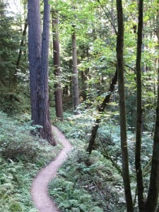 Macleay Trail in Forest Park