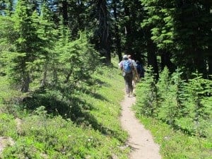 best-hikes-near-mount-hood-lookout-mountain