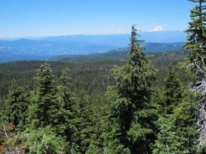 best-hikes-near-mount-hood-lookout-mountain