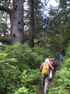 Portland hikes schedule.