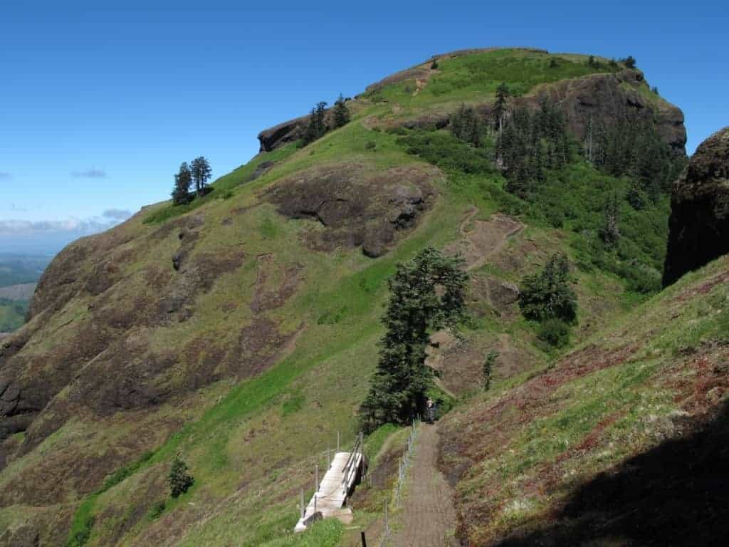 Saddle Mountain is one of the best hikes near Portland, especially in July, when the summer wildflowers are blooming.