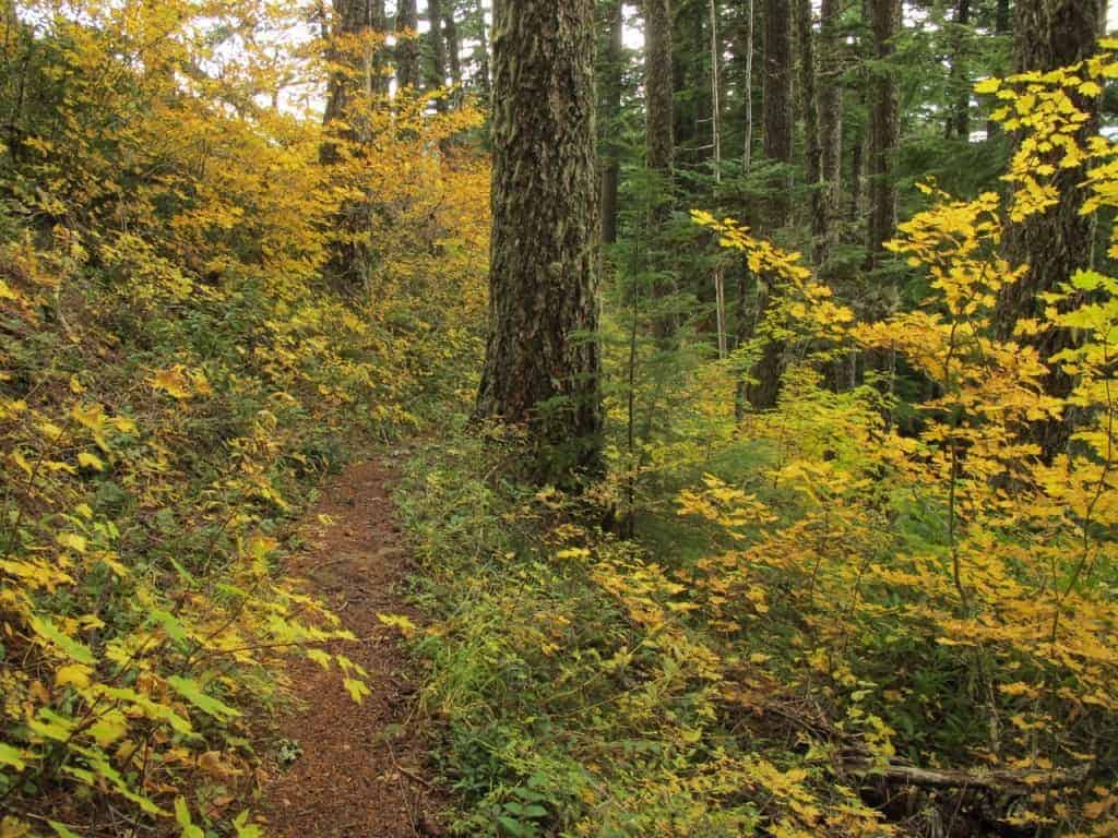 Best Fall colors hikes near Portland