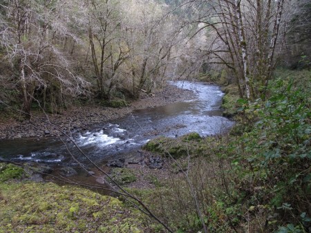 The Salmonberry River is a unique Oregon Coast Range hike.