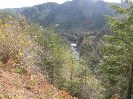 The Wilson River is one of the best winter hikes near Portland.