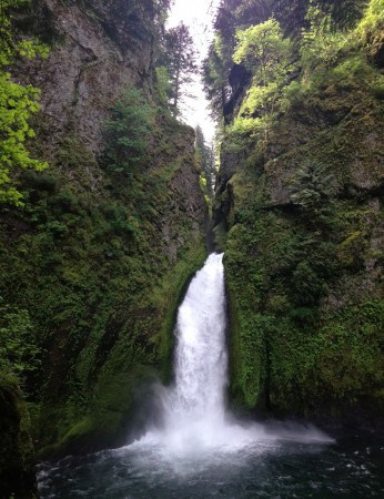 Wachlella Falls in the Columbia River Gorge is a great hike for kids and families