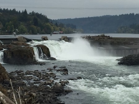Guided Tour of Willamette Falls in Oregon City