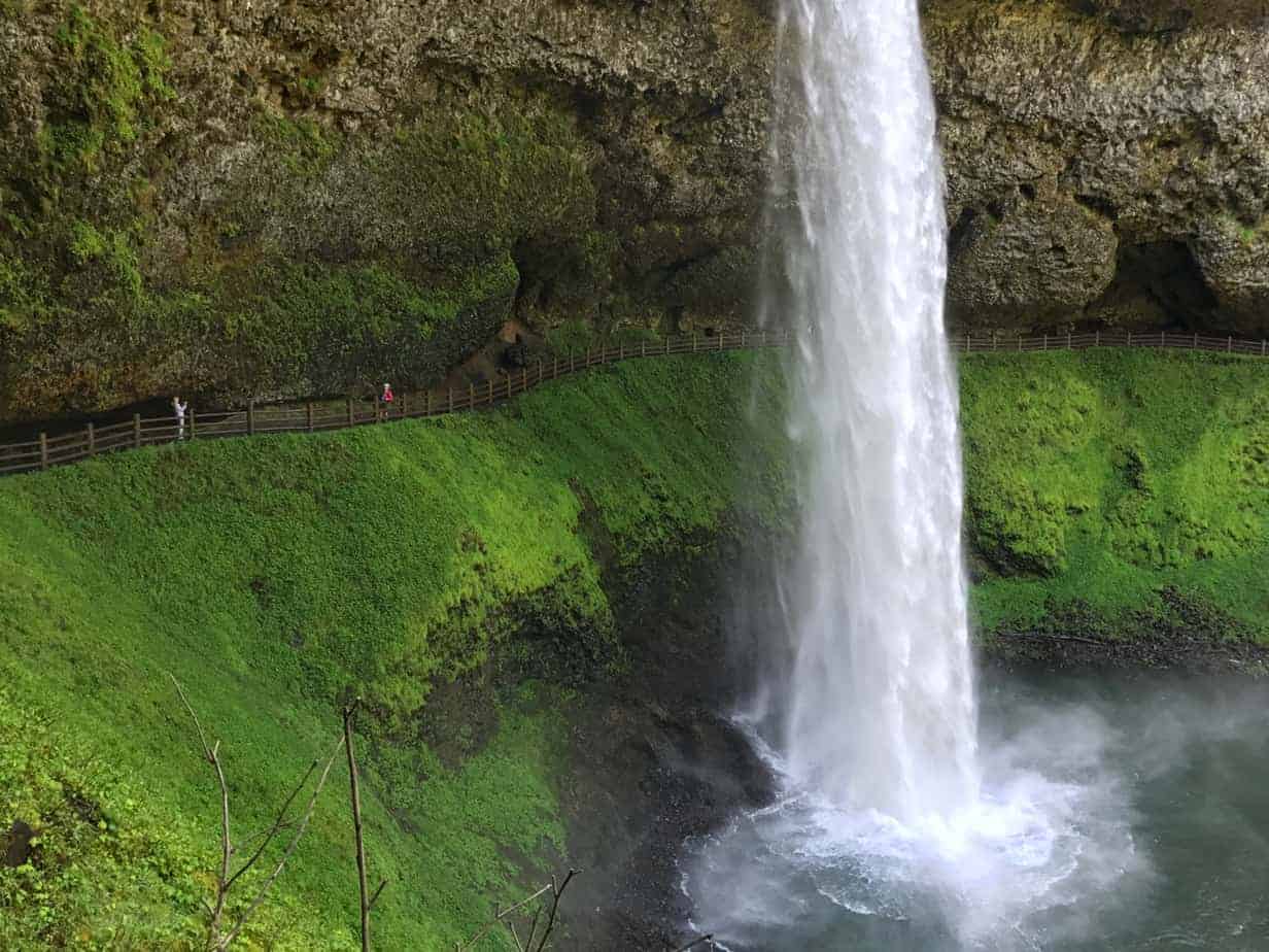 silver falls state park oregon 06