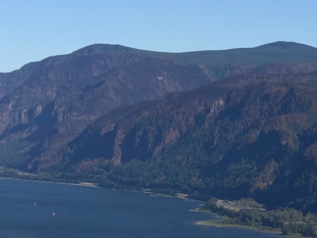 Some of the burned area in the Gorge.