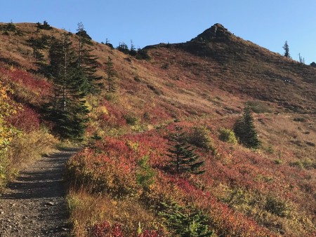The return loop from the summit, on the other side of the ridge, is covered in color.