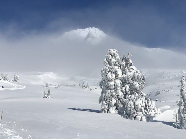 mount hood express bus to timberline lodge