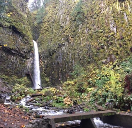 dry creek falls cascade locks oregon hike