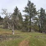 Lovely country up top, along the trail called Atwood Road.