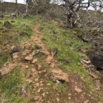 Lovely trail!