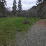 Most people turn right here to head for the meadows; I went left to climb the old road.