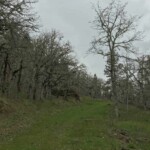 It's about a 1,000-foot climb on occasionally steep grade, but the scenery is nice.