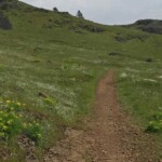Parting shot of the trail -- see you next week!