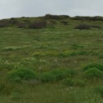 Into the green!