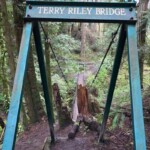 Terry Riley Bridge