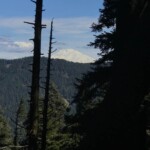 Mt. Adams is just visible through the trees at the summit. Saint Helens is, too -- but was in the clouds for us.
