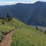 Classic view of the trail descending through the meadows.