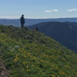 Hiker at Puppy Point.