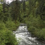 First real sight of Eagle Creek, just up from the trailhead.