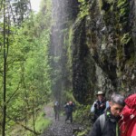 Along the weeping wall.