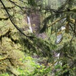 The site of the former Metlako Falls viewpoint, seen through the trees from just before the old turnoff.