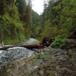 Looking downstream at Lower Punchbowl (photo by Jane Garbisch)