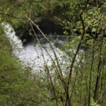 Punchbowl Falls from the main trail. Darn brush.