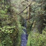 Downstream from High Bridge