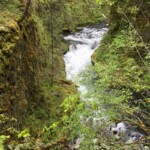 Upstream from High Bridge