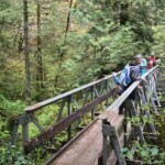 Hikers on High Bridge