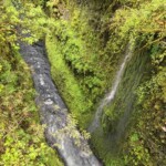 Another view downstream from High Bridge