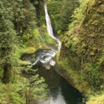 Falls like this are not the only scenery to look for on the Eagle Creek Trail.