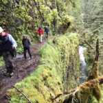 As I said, those with a fear of heights should look for another trail.