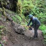 Part of the PCTA crew, hacking away at a trailside blockage.