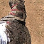 Almost lost my shoe in one of them!