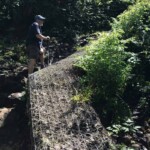 Some serious trail construction in here, dealing with much water and sttepness.