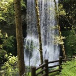 Lower South Falls