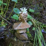 One of the little rock pagodas had a flower crown