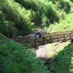 Couple on a bridge, North Fork Silver Creek