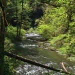 North Fork Silver Creek