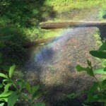 Rainbow in the spray from Middle North Falls