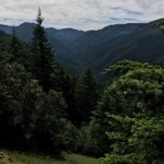 View south, up Herman Creek towards Hood, from the meadow on the ridge.