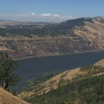 The is actually a view of the Lyle Cherry Orchard hike near Lyle, WA.