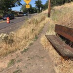 This hike starts at a roadside bench, not a traditional trailhead.