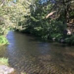 Mosier Creek just above the falls.