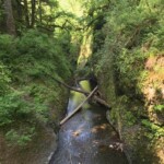 Looking down from the bridge at the top of Oneonta Falls and Gorge