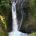 This is just above the bridge at the head of Oneonta Gorge.